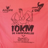 Course de l&#039;oie4